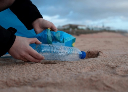 Duik jij op als vrijwilliger voor Life Below Water?